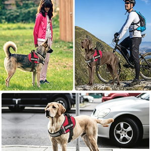 New Reflective Comfort Dog <b>Harness</b> Vest Style <b>Pet</b> Dog <b>Harness</b> and Leash Set - Product Image 6