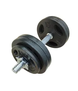 Tùy chỉnh chất lượng cao 2.5lb-55lb đen sơn gang trọng lượng tấm cho phòng tập thể dục tập thể dục ba lỗ Barbell thanh cho phòng tập thể dục tập thể dục