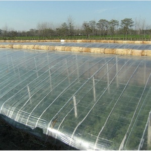 Wholesale Agricultural <b>Plastic</b> Film 180 200 Micron 5 Year UV Protect <b>Plastic</b> Film <b>for</b> <b>Greenhouse</b> - Product Image 3