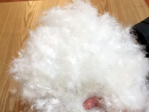 Pluma de ganso 90/10, blanca, lavada, de alta potencia, fabricación de fábrica - Product Image 4