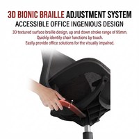 Chaise de bureau ergonomique colorée avec dossier solide, pivotante, réglable en hauteur, sur roulettes, pour école et hôpital