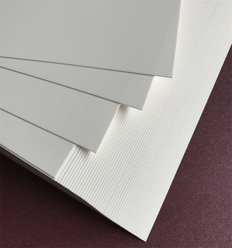 White Specialty Coated Cardboard Paper in Sheet/Roll Form for Box Making Moisture Proof for Certified