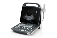 Mesin Diagnosa Ultrasound Hewan Mindray DP-10 VET, Peralatan Pemindai B/W yang Andal, Bersertifikasi CE Kelas II, Garansi 1 Tahun