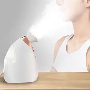 Popüler tasarım taşınabilir yüz kişisel doğal vapur burun ve Nano ped maskesi sıcak soğuk el sis püskürtücü 3 In 1 vapur yüz