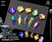 2 Vernis à Ongles Gel Magnétique Effet Oeil de Chat BJG 12 Couleurs Aurora avec Effet Holographique Gel UV pour Usage en Salon Sans HEMA ni TPO