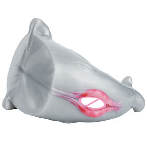 Masturbador masculino con forma <span class=keywords><strong>de</strong></span> delfín <span class=keywords><strong>de</strong></span> doble canal, juguete sexual realista, Vagina, Animal, coño, hombre, Stroker, FantasyOnahole - Product Image 2