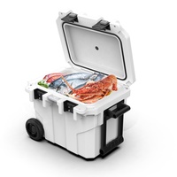 Roto moule 45L roues glacière fruits boisson RVs BBQ chariots de golf robuste Portable poignée refroidisseur