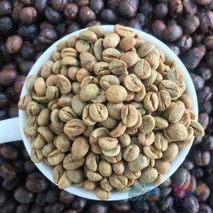 กาแฟโรบัสต้าออร์แกนิกเมล็ดเต็ม - Product Image 2