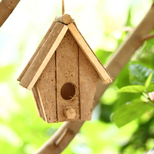 Nhà chim treo bằng gỗ tự nhiên để trang trí sân vườn trong nhà ngoài trời, nhà cho chim hoang, nơi trú ẩn, vật tư - Product Image 2