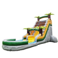 Toboggan aquatique commercial personnalisé en usine toboggan gonflable bon marché de taille de fête avec piscine pour adulte