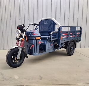 Scooter de mobilité bon marché à la mode avec vélo <span class=keywords><strong>pliant</strong></span> pousse-pousse cargo <span class=keywords><strong>tricycle</strong></span> électrique pour passagers adultes - Product Image 2