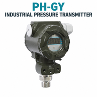 Transmetteur de pression industriel personnalisé WEDONE PH-GY, jauge de pression absolue, écran LCD, sorties HART RS485, sorties de tension, précision de 0,25/0,5%