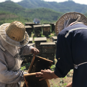 Achetez du <span class=keywords><strong>miel</strong></span> de Sidr du Yémen Al Shifa 500g, <span class=keywords><strong>miel</strong></span> <span class=keywords><strong>pur</strong></span> et naturel - Product Image 4