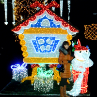 Décoration lumineuse LED de Noël pour maison, idéale pour les rues, parcs, villages de vacances et projets d'éclairage paysager.
