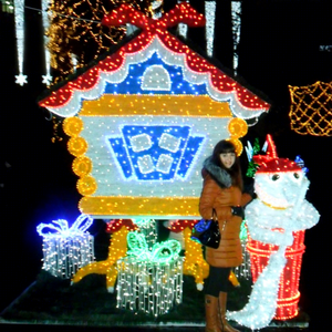 Festive Christmas House LED Decoration Light for Street Park Holiday Village Theme Landscape Lighting Project - Product Image 1