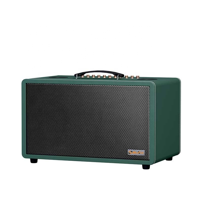 OEM Professional Rechargeable Portable Wireless Subwoofer