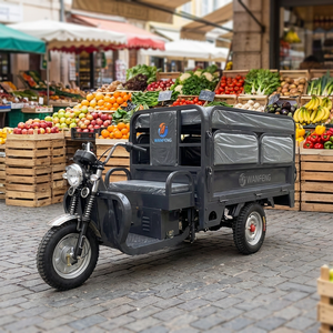 Tricycle électrique cargo personnalisé à <span class=keywords><strong>3</strong></span> <span class=keywords><strong>roues</strong></span> avec siège passager pliable, chargeur robuste, E-Trike pour les marchés d'Amérique et d'Asie - Product Image 5