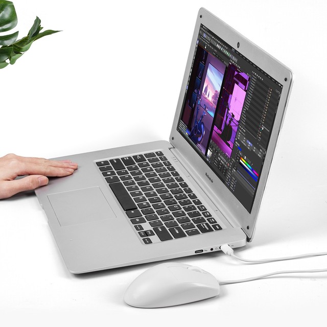 Wired Optical Sensor Ergonomic Mouse USB Interface Universal for MACBook Laptop Charging Port Mobile Phone