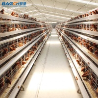Batterie automatique à cellules de poulet, équipement Pour élevage de volaille, animaux de ferme
