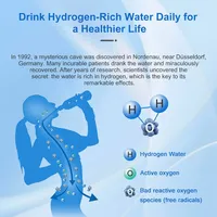 Distributeur d'eau hydrogénée électrique, pureté H2 99,99 %, ioniseur 4000 ppb, machine à eau hydrogénée chaude et froide, eau hydrogénée prête à boire