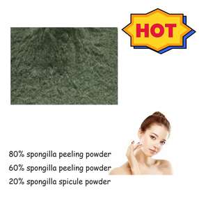 Venta caliente extractos <span class=keywords><strong>de</strong></span> <span class=keywords><strong>algas</strong></span> orgánicas polvo <span class=keywords><strong>de</strong></span> cáscara <span class=keywords><strong>de</strong></span> <span class=keywords><strong>algas</strong></span> para tratamiento <span class=keywords><strong>de</strong></span> espiculación <span class=keywords><strong>de</strong></span> microagujas faciales cuidado <span class=keywords><strong>de</strong></span> la piel al por mayor - Product Image 4