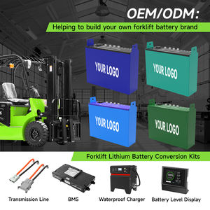 Custom in fabbrica <span class=keywords><strong>24V</strong></span> LifePo4 batteria 100Ah 200Ah 300Ah 400Ah 500Ah carrello elevatore elettrico batteria agli ioni di litio - Product Image 6