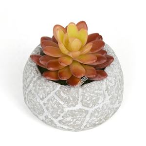 Venta al por mayor de la fábrica de alta calidad mini <span class=keywords><strong>echeveria</strong></span> falso cactus artificiales planta para Decoración - Product Image 5