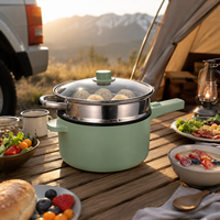 Poêle électrique multifonctionnelle 3,5 L 24 V 220 V pour voiture et camion, avec cuiseur vapeur en acier inoxydable pour le camping