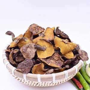Hongos Silvestres Chinos <span class=keywords><strong>Boletus</strong></span> <span class=keywords><strong>Luteus</strong></span>, Hongos <span class=keywords><strong>Boletus</strong></span> <span class=keywords><strong>Luteus</strong></span> Pegajosos en Venta - Product Image 3