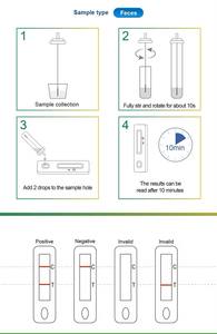 LYZ Venta caliente <span class=keywords><strong>H</strong></span>. <span class=keywords><strong>Pylori</strong></span> Antígeno Cassette de prueba rápida <span class=keywords><strong>H</strong></span>. <span class=keywords><strong>Pylori</strong></span> Kit de prueba de antígeno - Product Image 2