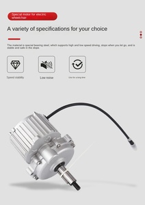 รถเข็นไฟฟ้าแบบไร้แปรงถ่าน มอเตอร์แม่เหล็กถาวร 250w DC กำลังสูง 24V - Product Image 2