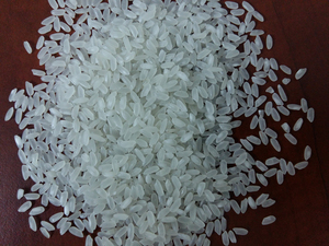 Arroz Japonica de grano corto, variedad de arroz japonés Sinica, arroz medio Camolino Calrose en Vietnam - Product Image 3
