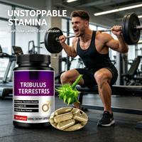 Complément Alimentaire Énergétique pour Adultes OEM, Extrait Herbal 500mg, Faible Teneur en Sucre, Capsules Naturelles de Tribulus Terrestris et de Racine de Maca en Poudre pour