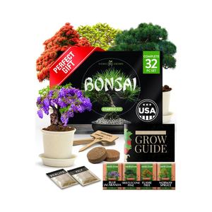 Kit de bonsaï <span class=keywords><strong>en</strong></span> céramique de haute qualité et durable, comprend plusieurs pots de <span class=keywords><strong>fleurs</strong></span> pour la création de bonsaï à la maison ou au jardin - Product Image 1