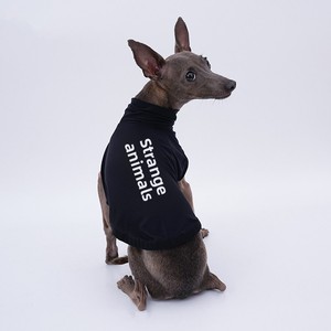 Chaleco <span class=keywords><strong>Deportivo</strong></span> YDC para Perros, para Todas las Estaciones, de Seda Helada, Ligero, de Alta Elasticidad, para <span class=keywords><strong>Galgo</strong></span> Italiano, Whippet y Bellington - Product Image 6