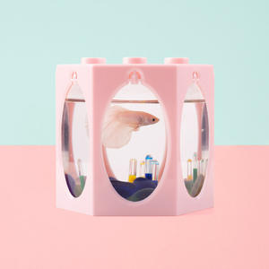 Pecera de Plástico con Luces LED, Pecera Portátil Mini Decorativa, Pecera Pequeña <span class=keywords><strong>para</strong></span> <span class=keywords><strong>Peces</strong></span> <span class=keywords><strong>Betta</strong></span>, <span class=keywords><strong>Juguetes</strong></span> <span class=keywords><strong>para</strong></span> Peceras - Product Image 4