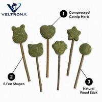 Bâtonnets de friandises à la catnip, 6 formes assorties, jouets à mâcher aux herbes, herbe verte compressée, bâtonnets en bois naturel