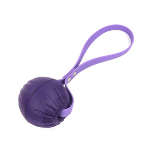 Kanca tasma ile Modern lüks evcil hayvan topu kapak tutucu hafif kolay kurulum köpek römorkör oyuncak <span class=keywords><strong>Pet</strong></span> tedarikçiler tarafından sağlanan - Product Image 4