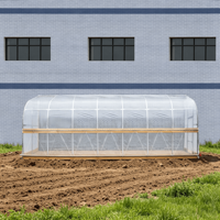 Serre tunnel écologique 10x30 pieds, abri de pluie pour culture de plantes en arrière-cour, facile à assembler, auvent agricole à faible coût