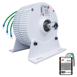 Mars Rock 300W 12V 24V Low RPM NdFeb PMG générateur à aimant Permanent de terres rares pour générateur d'éolienne horizontale DIY