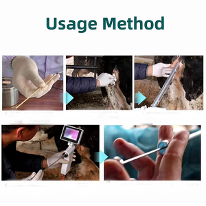 Pistola de inseminação artificial para gado, pistola artificial para uso veterinário - Product Image 6