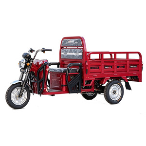 Triciclo Eléctrico para Bebés, Scooter de Tres Ruedas Motorizado, Triciclo de Carga con Neumáticos Anchos de 1500W/1000W para Agricultores - Product Image 4