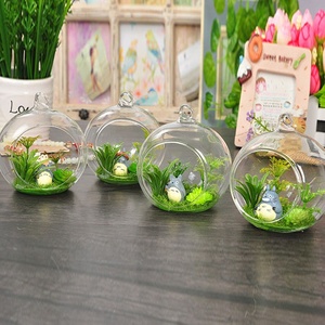 Glaskugel Vase Tischplatte Luft Pflanze Display Globe Großhandel Glas hängen <span class=keywords><strong>Terrarium</strong></span> für Home Decoration - Product Image 3