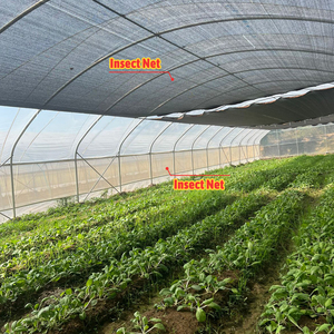 Serres monocoupes en <span class=keywords><strong>film</strong></span> plastique de la marque Baolida, vente en gros <span class=keywords><strong>pour</strong></span> la culture des plantes - Product Image 2