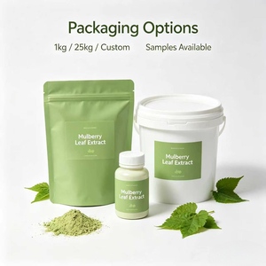 Extracto de Hoja de Morera en Polvo 10:1 20:1 Directo de Fábrica, Extracto Natural de Hoja de Morus Alba de Grado Alimenticio para Fórmula Alimentaria, Materia Prima - Product Image 6