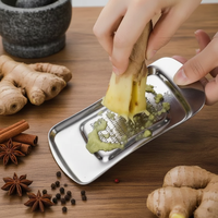 Ustensiles de cuisine : Mini râpe manuelle en acier inoxydable en forme de cuillère pour gingembre, wasabi, moutarde, broyeur de pâte d'ail, et pour purée de carotte