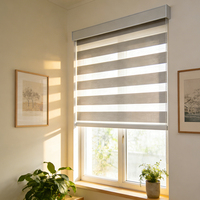 Persianas Enrollables Modernas con Tela Filtrante de Luz, Tipo Zebra, para Decoración de Sala de Estar y Dormitorio
