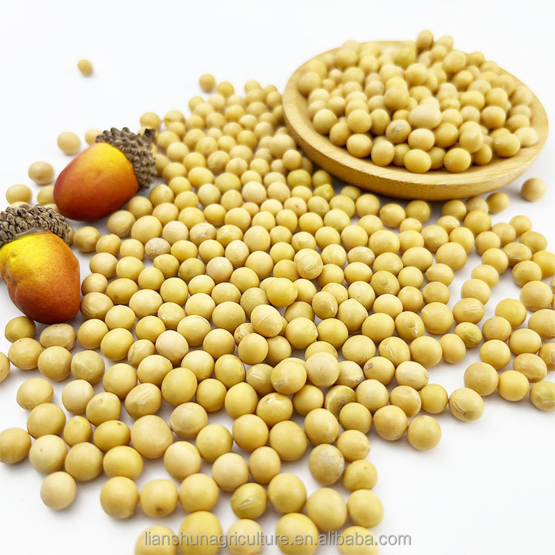 High Quality Premium Natural and Non