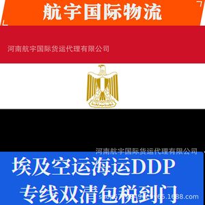 Logistique aérospatiale internationale Chine-Egypte Fret maritime Fret aérien Ligne dédiée FBA Expédition mondiale - Product Image 2
