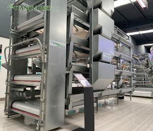 อัตโนมัติเด็กชั้นไก่เนื้อ Brooder วันเจี๊ยบเก่าแบตเตอรี่กรง Pullet - Product Image 4